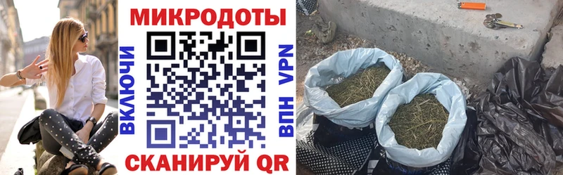 Галлюциногенные грибы Cubensis  Купить где  Среднеколымск 